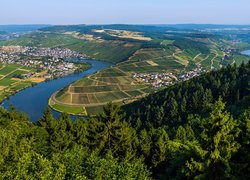Pola uprawne i miasteczka nad rzeką Mozelą w Niemczech