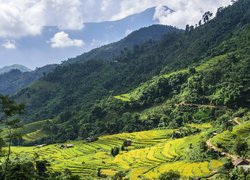 Wietnam, Hoang Su Phi, Pola, Góry