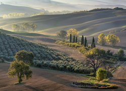 Pola, Drzewa, Wzgórza, Poranek, Mgła, Dolina Val d Orcia, Toskania, Włochy