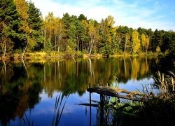 Połamany pomost nad stawem