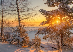 Zima, Wschód słońca, Drzewa, Pola
