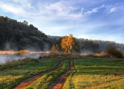 Polna droga obok zamglonej rzeki