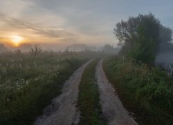 Polna droga we mgle o wschodzie słońca