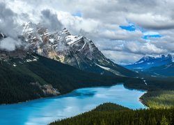Polodowcowe jezioro Peyto Lake w Parku Narodowym Banff w Kanadzie