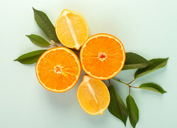 Połówki pomarańczy i cytryn z listkami na seledynowym tle