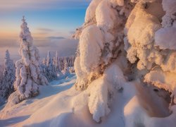 Rosja, Góry Ural, Południowy Ural, Zima, Ośnieżone, Drzewa, Zaspy