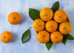 Owoce, Pomarańcze, Liście, Miska, Kolorowe tło