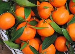 Pomarańcze z liśćmi w koszyku
