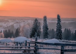 Pomarańczowe niebo nad ośnieżonymi drzewami i zamglonymi wzgórzami