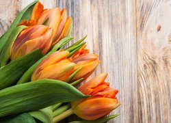 Pomarańczowe, Tulipany, Deski