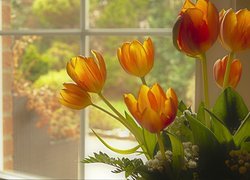 Pomarańczowe tulipany przy oknie