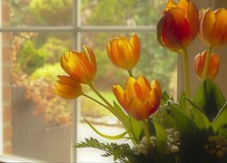 Kwiaty, Tulipany, Okno