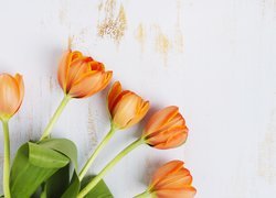 Pomarańczowe tulipany ułożone na deskach