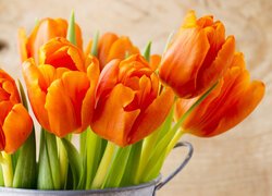 Pomarańczowe, Tulipany, Kwiaty