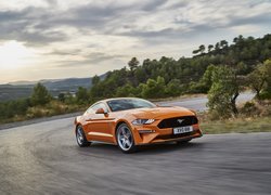 Ford Mustang GT, Droga