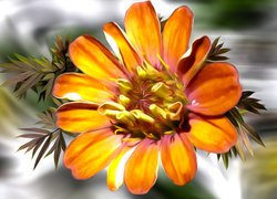 Pomarańczowy kwiat w grafice
