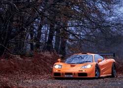 McLaren F1, Droga, Las, Jesień