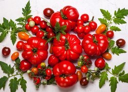 Pomidory duże i małe z listkami