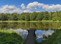 Pomost i las liściasty nad jeziorem