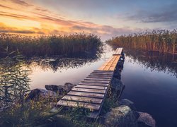 Pomost i szuwary na jeziorze w słonecznym blasku