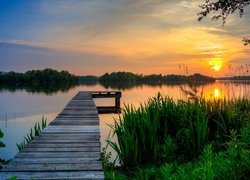 Holandia, Prowincja Groningen, Jezioro Hoornsemeer, Zachód Słońca, Pomost, Rośliny