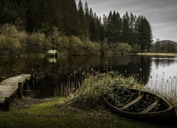 Pomost na jeziorze i porzucona na brzegu stara łódka wśród roślinności