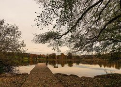 Jesień, Jezioro Katzensee, Drzewa, Pomost, Liście, Kanton Zurych, Szwajcaria