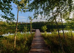Pomost na mazurskim leśnym jeziorku