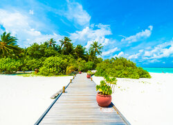 Pomost na plaży na Malediwach