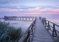 Pomost, Jezioro Federsee, Mgła, Wschód słońca, Poranek, Szuwary, Niebo, Bad Buchau, Badenia Wirtembergia, Niemcy