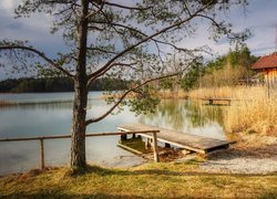 Pomost nad jeziorem obok drzewa