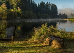 Szkocja, Trossachs, Jezioro, Wieczór, Las, Łódź, Pomost, Zarośla