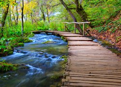 Chorwacja, Park Narodowy Jezior Plitwickich, Las, Pomost, Rzeka