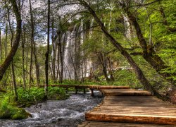 Chorwacja, Park Narodowy Jezior Plitwickich, Wodospad, Rzeka, Pomost, Drzewa