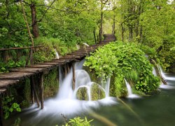 Wodospad, Park Narodowy Jezior Plitwickich, Pomost, Drzewa, Rośliny, Chorwacja