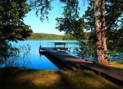Pomost z ławeczką nad jeziorem pośród drzew