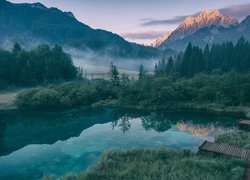 Słowenia, Kranjska Gora, Rezerwat przyrody Zelenci, Jezioro Zelenci, Góry, Lasy, Mgła, Drewniany, Pomost
