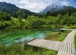 Góry, Lasy, Drzewa, Jezioro, Rezerwat przyrody Zelenci, Trawa, Pomosty, Kranjska Gora, Słowenia