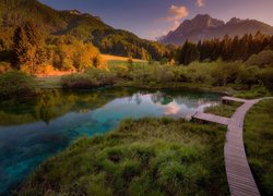 Słowenia, Rezerwat przyrody Zelenci Springs, Jezioro Zelenci, Góry, Lasy, Pomost, Drewniany