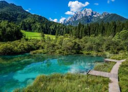 Góry, Las, Drzewa, Jezioro, Rezerwat przyrody Zelenci, Trawa, Pomosty, Kranjska Gora, Słowenia