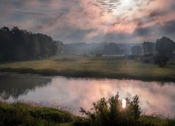 Poranek, Wschód słońca, Rzeka, Mgła, Łąka, Drzewa, Ptak