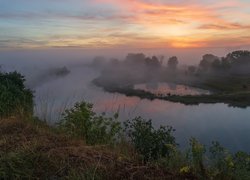 Poranek nad zamgloną rzeką i drzewami