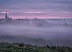 Wschód słońca, Chmury, Mgła, Miasto, Cerkiew, Wieża, Kot