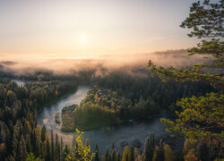Poranna mgła nad Parkiem Narodowym Oulanka w Finlandii
