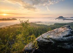 Niemcy, Park Narodowy Saskiej Szwajcarii, Góry Połabskie, Skały, Drzewa, Mgła, Chmury, Wschód słońca