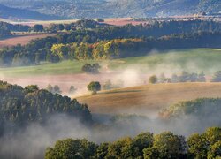 Poranna mgła nad polami i drzewami na wzgórzu