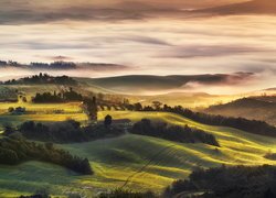 Poranna mgła nad Val di Cecina