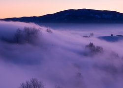 Poranna mgła nad zalesionymi wzgórzami