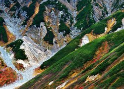 Porośnięte roślinnością zbocza góry Tateyama w Japonii