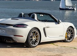 Porsche 718 Boxster GTS nad jeziorem